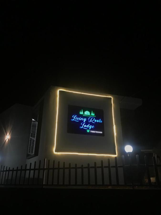 Living Roots Lodge تشيرابونجي المظهر الخارجي الصورة