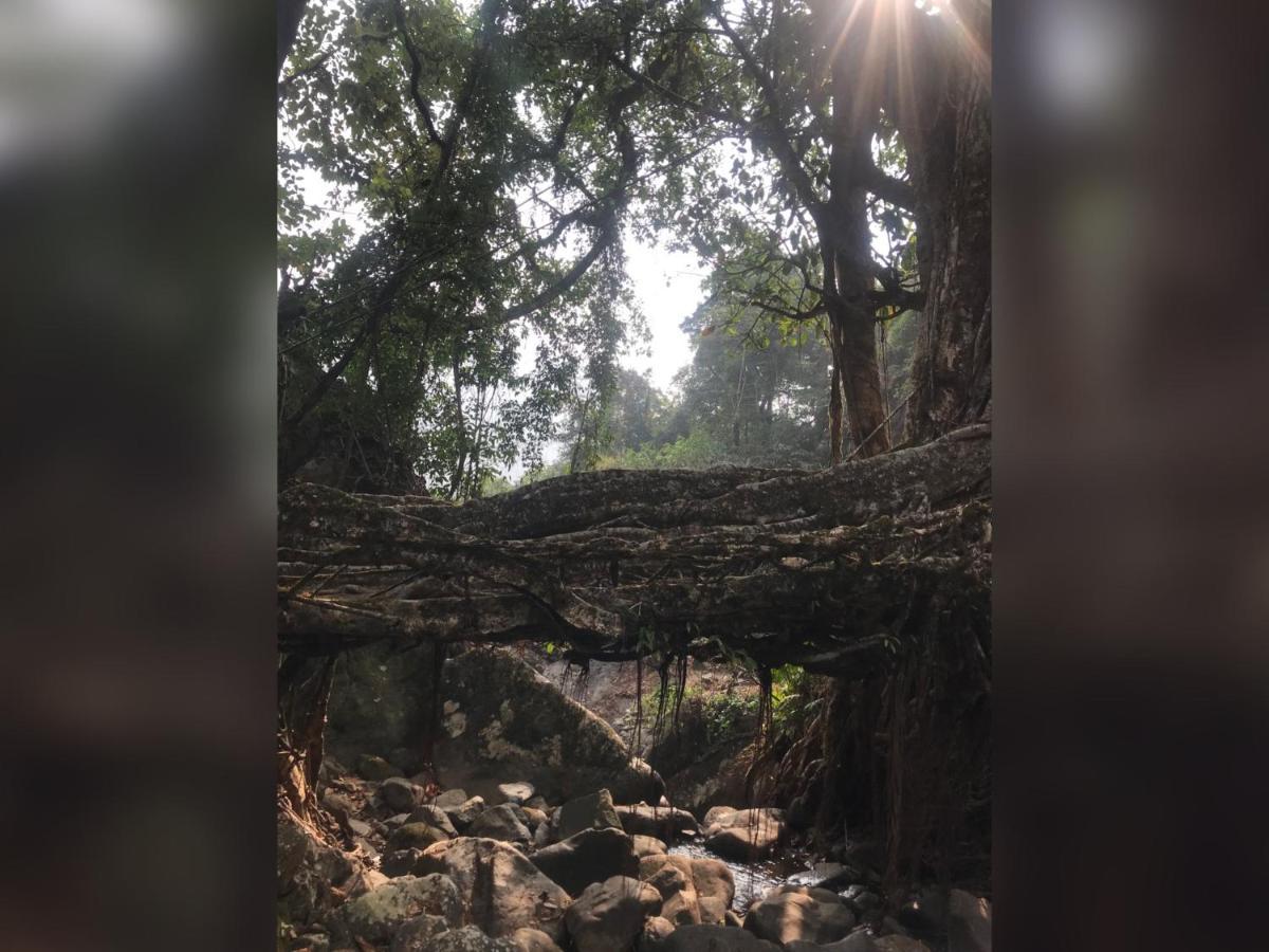 Living Roots Lodge تشيرابونجي المظهر الخارجي الصورة